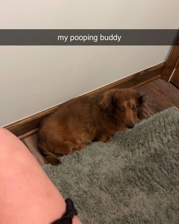 🔥 Alyssaholmes page leaked private photo uncensored full