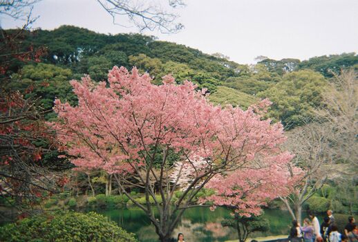 🔥 Dosya gasai  page leaked private photo uncensored full