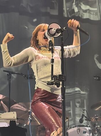 🔥 Hayley williams leaked private photo uncensored full
