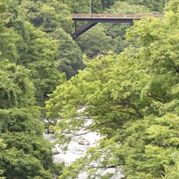 🔥 Kamiki rei page leaked private photo uncensored full