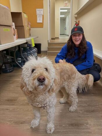 🔥 Lola tung page leaked private photo uncensored full