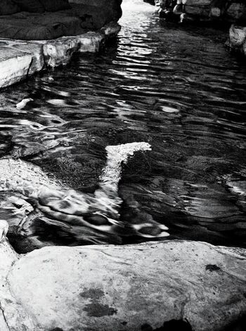 🔥 Pamela anderson page leaked private photo uncensored full