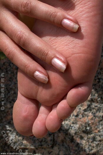 🔥 Scandinavian feet page leaked private photo uncensored full