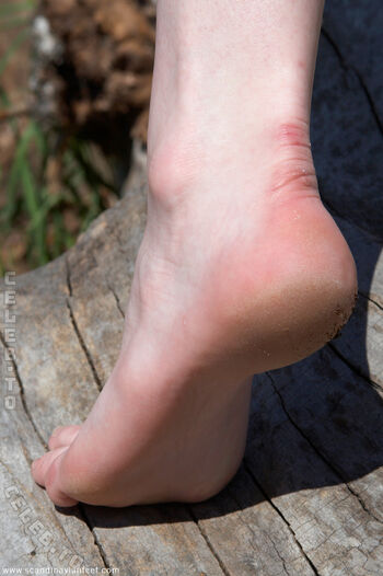 🔥 Scandinavian feet page leaked private photo uncensored full