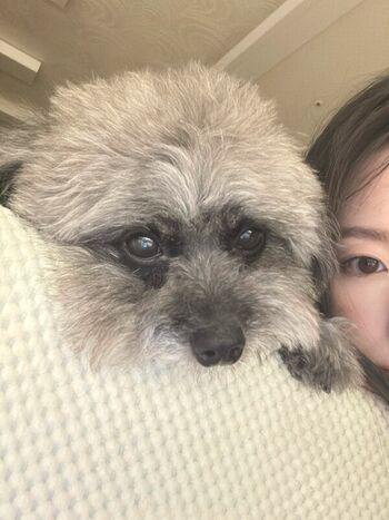 🔥 Shuhua leaked private photo uncensored full