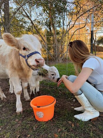 🔥 Sophia diamond  page leaked private photo uncensored full