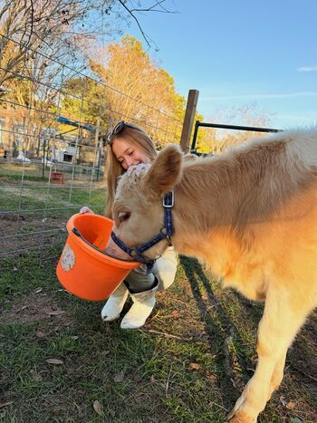 🔥 Sophia diamond  page leaked private photo uncensored full