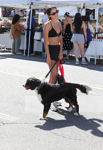 🔥 Sophia hammons leaked private photo uncensored full