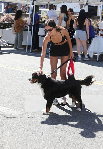 🔥 Sophia hammons leaked private photo uncensored full