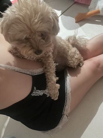 🔥 Ssusu kang leaked private photo uncensored full