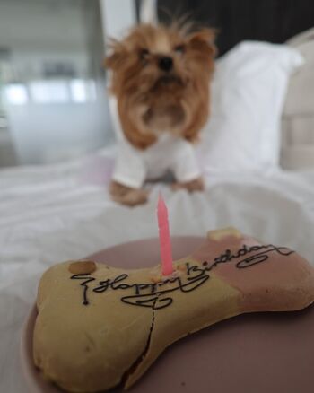 🔥 Tattoogirlalia  page leaked private photo uncensored full