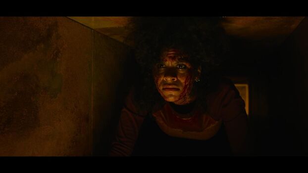 🔥 Zazie beetz page leaked private photo uncensored full